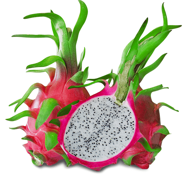 Thanh Long Ruột Trắng