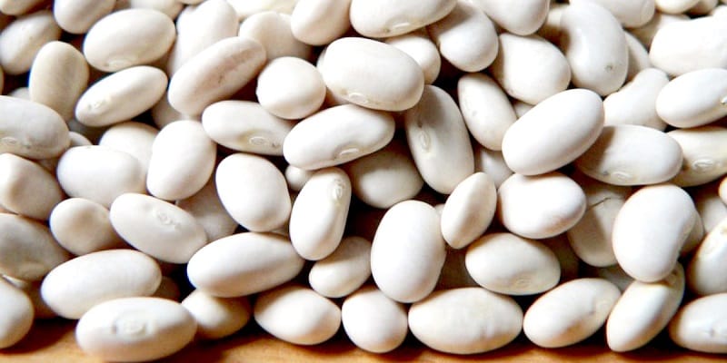 Đậu trắng tây