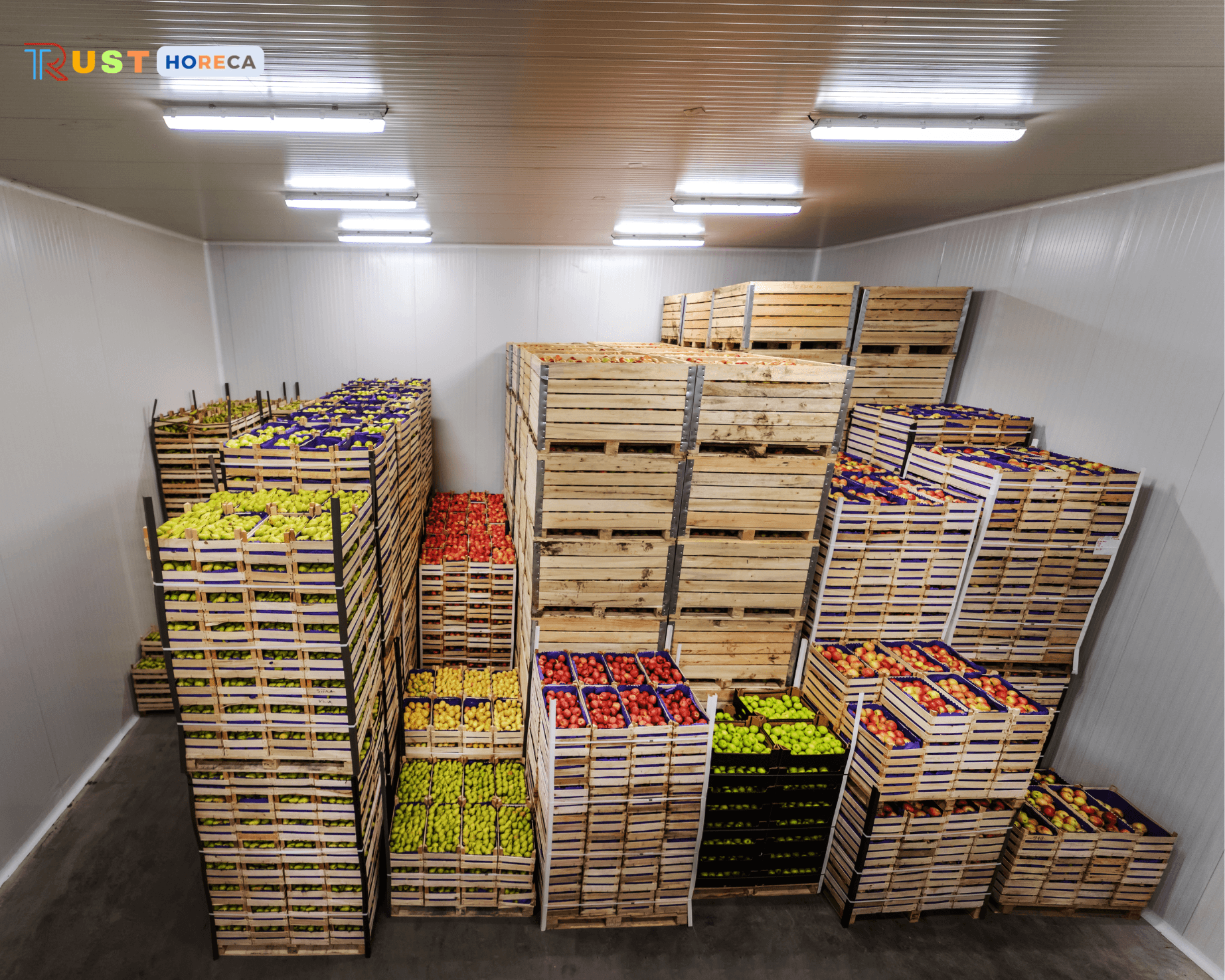 nguồn hàng ổn định