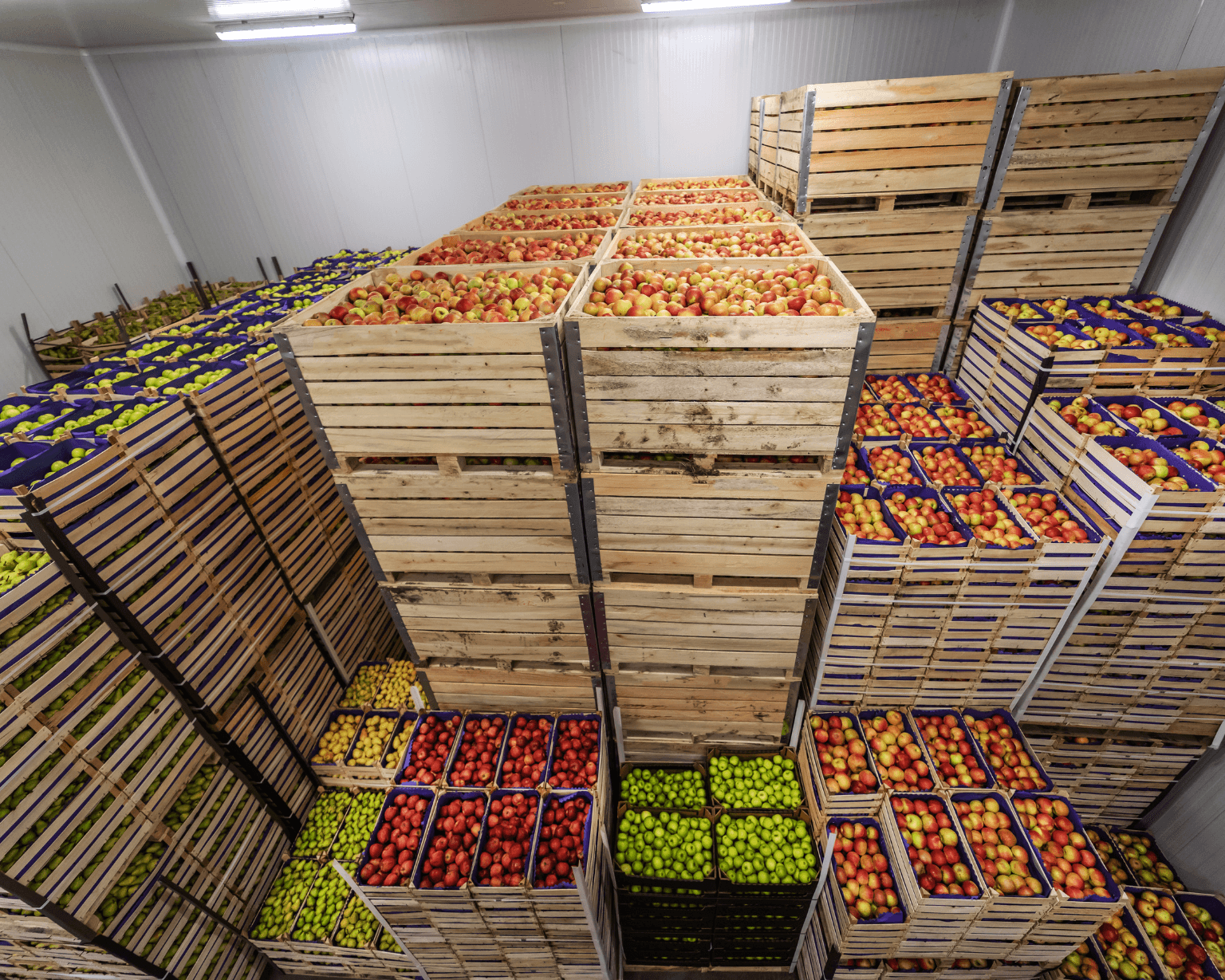 cung cấp thực phẩm