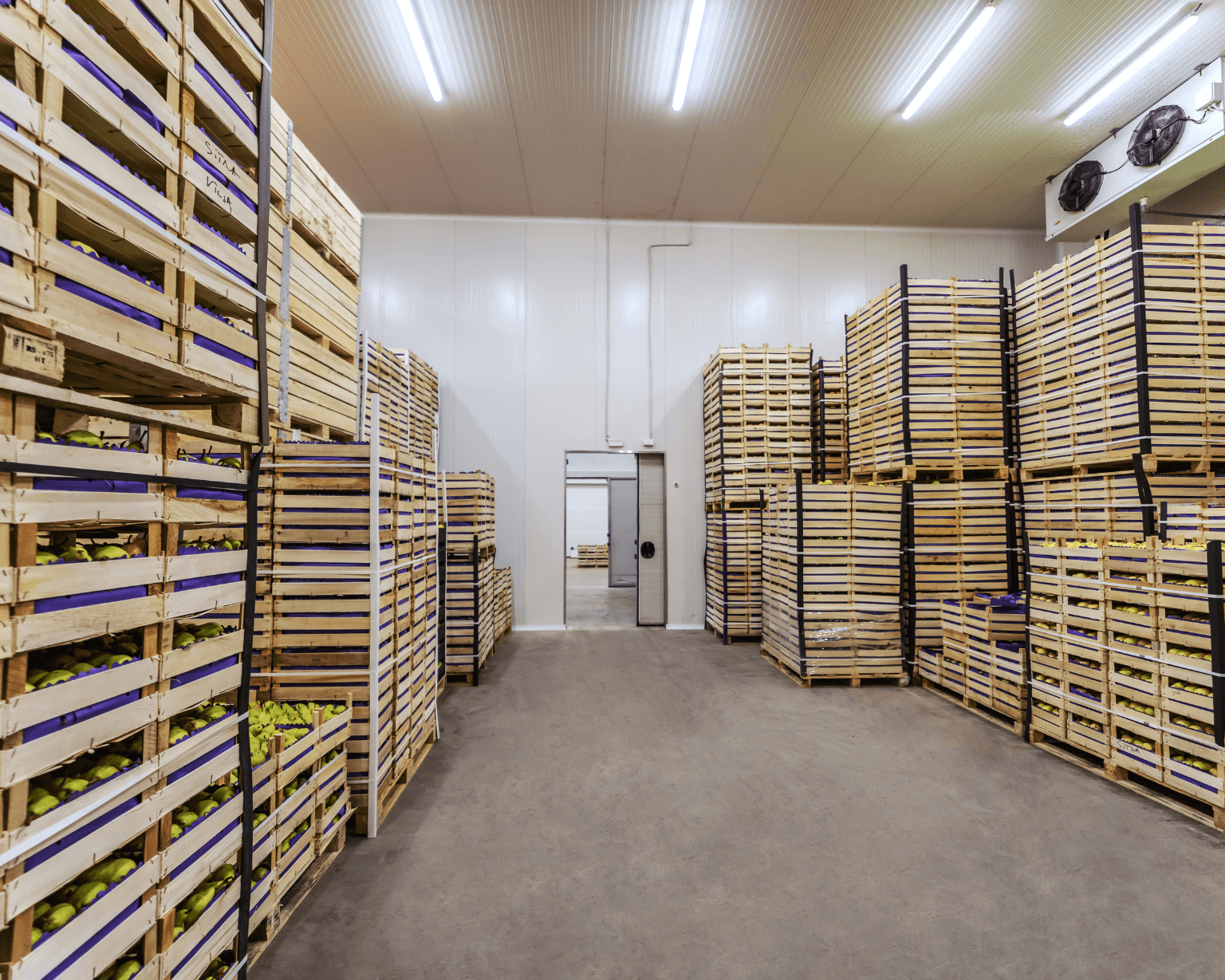 cung ứng thực phẩm