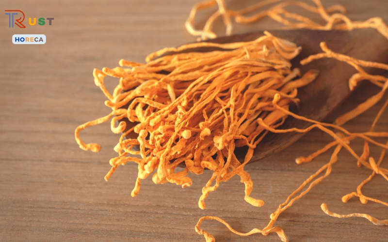 Bông đông trùng hạ thảo