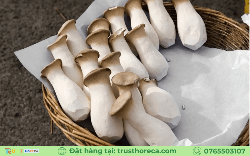 Nấm Đùi Gà