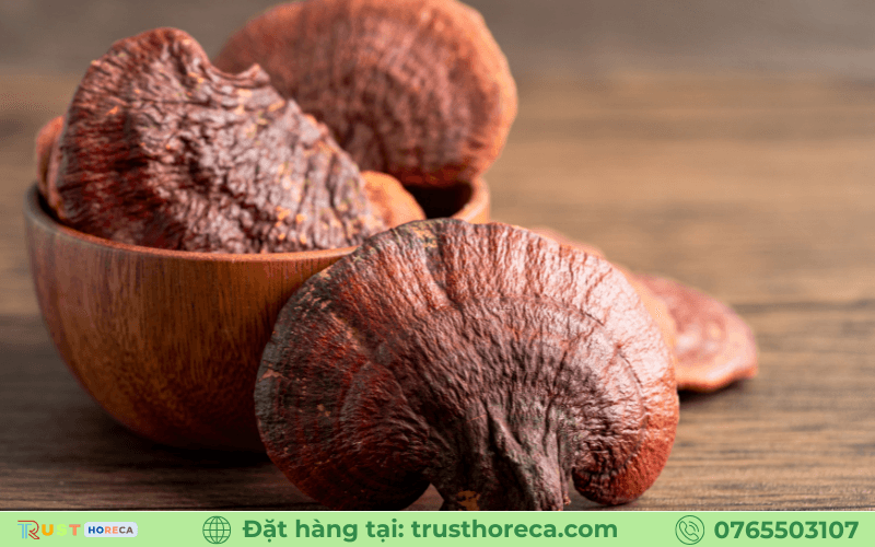 Nấm Linh Chi Nâu