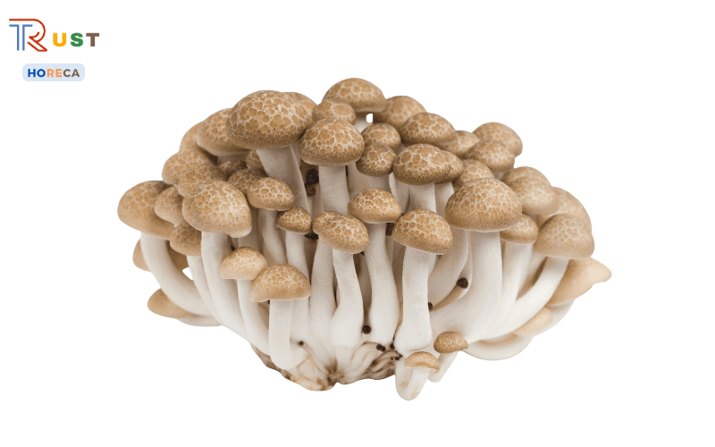 Nấm Shimeji nâu