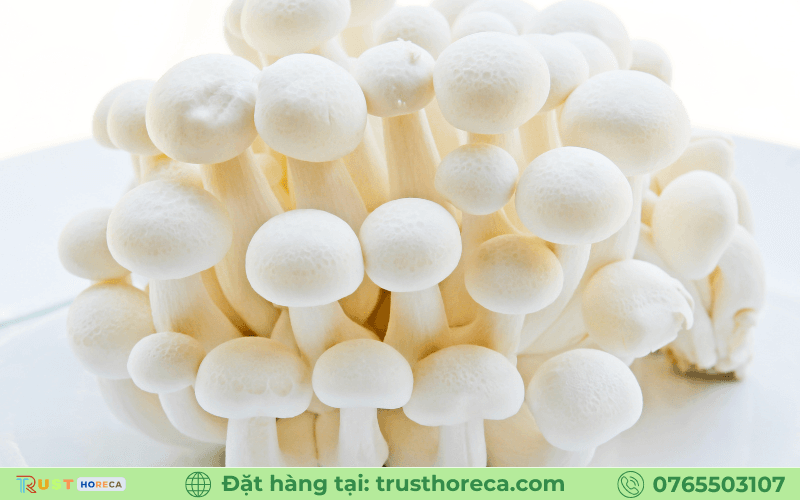 Nấm Shimeji trắng