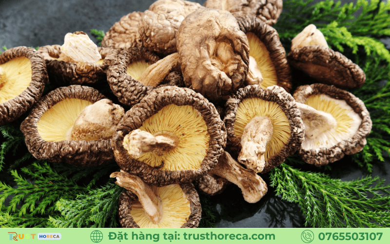 Nấm shiitake Nhật