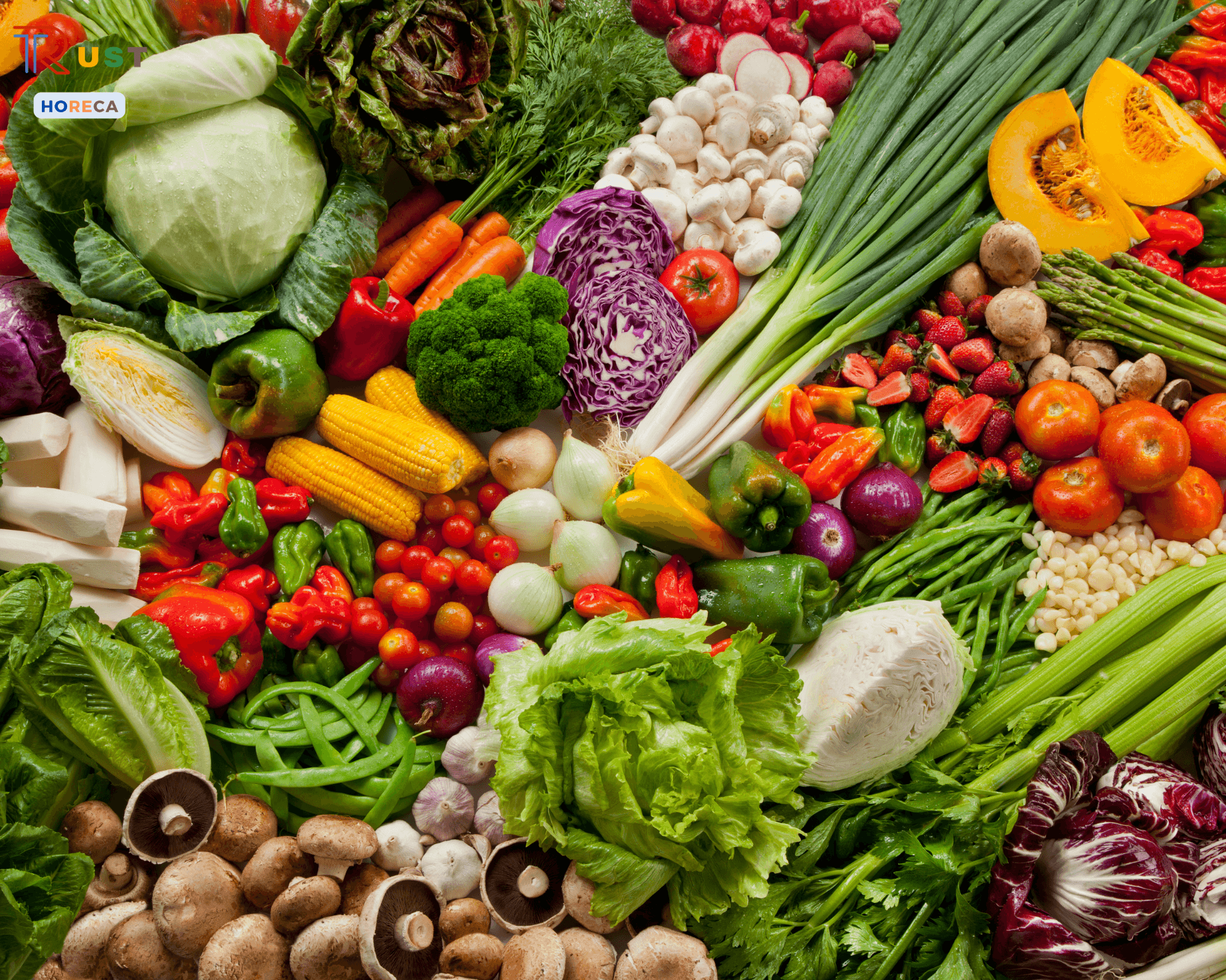 Cung cấp rau củ quả