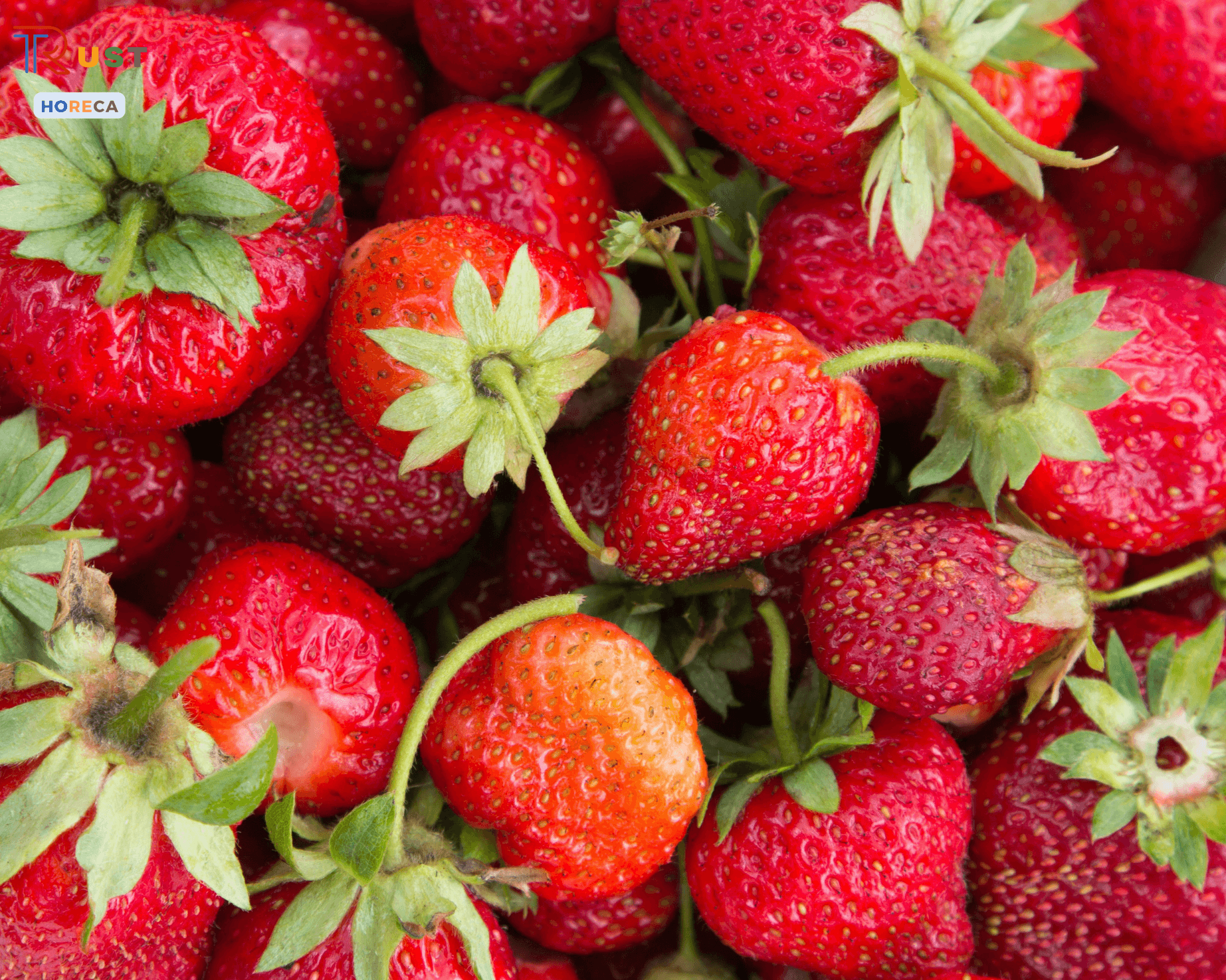 cung cấp trái cây