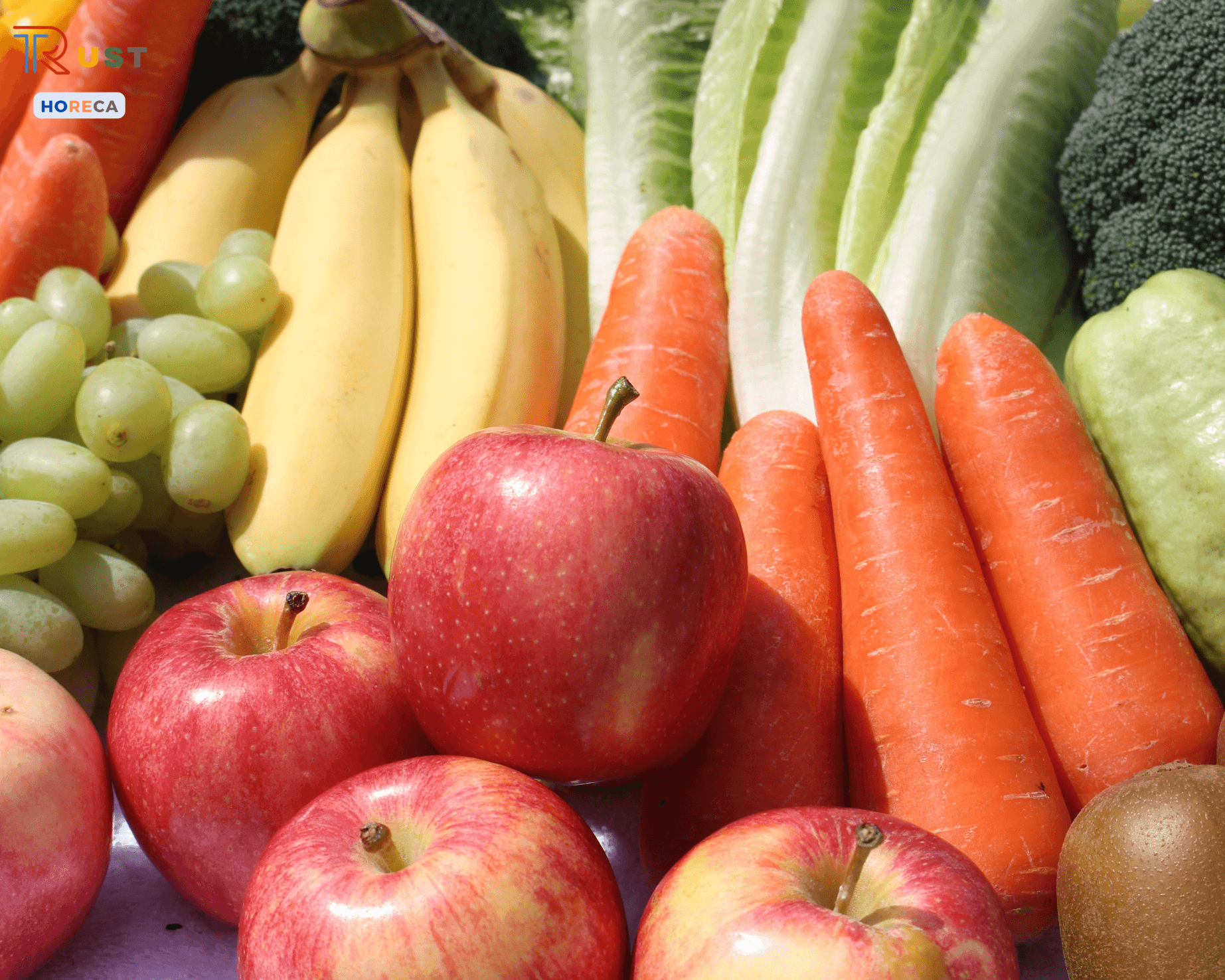 nguồn cung nguyên liệu