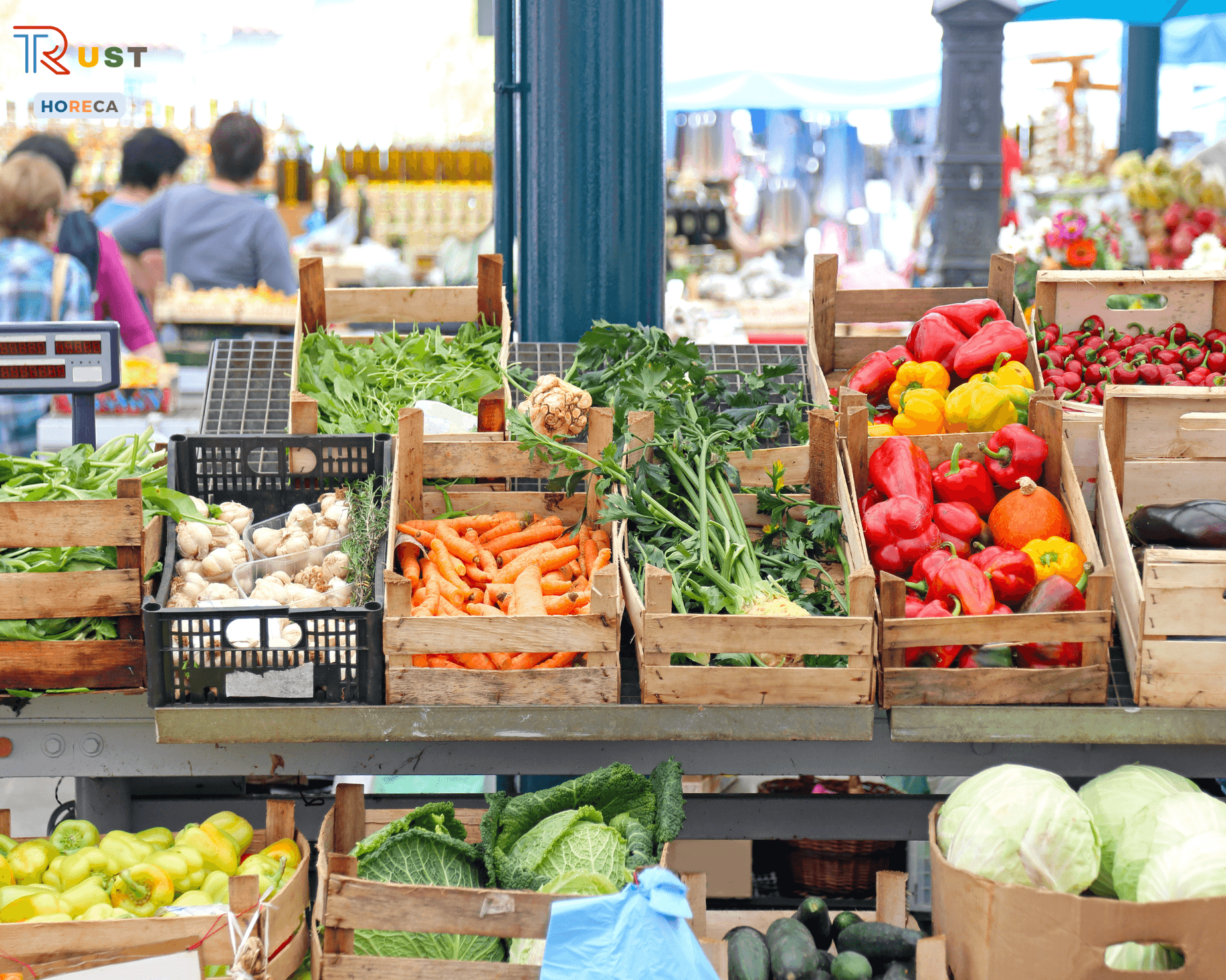 Cung cấp thực phẩm