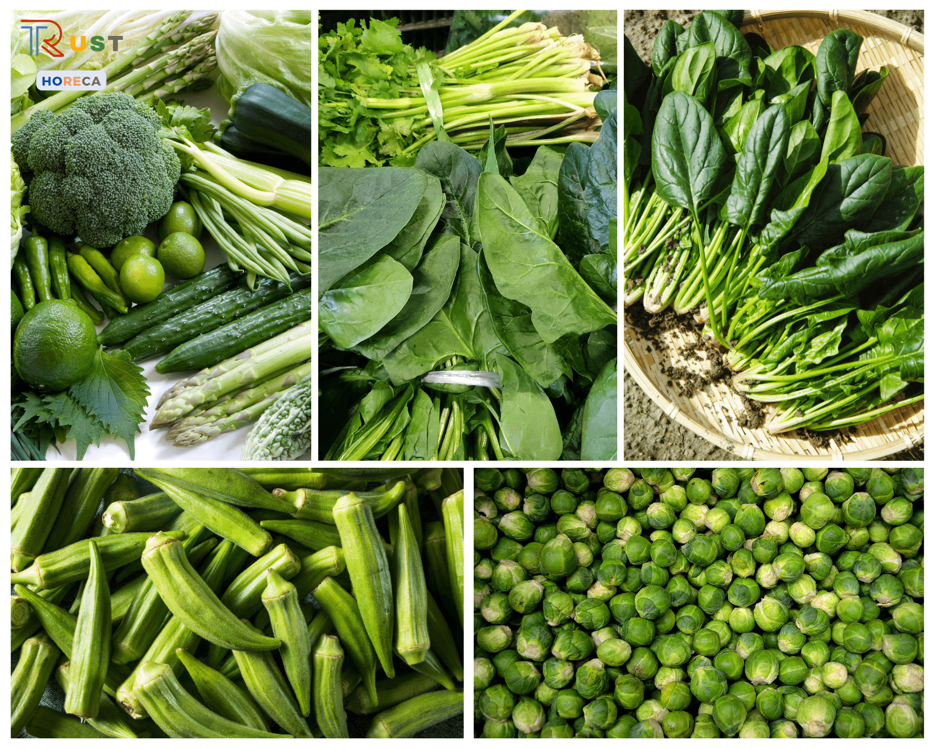 Cung Cấp Thực Phẩm