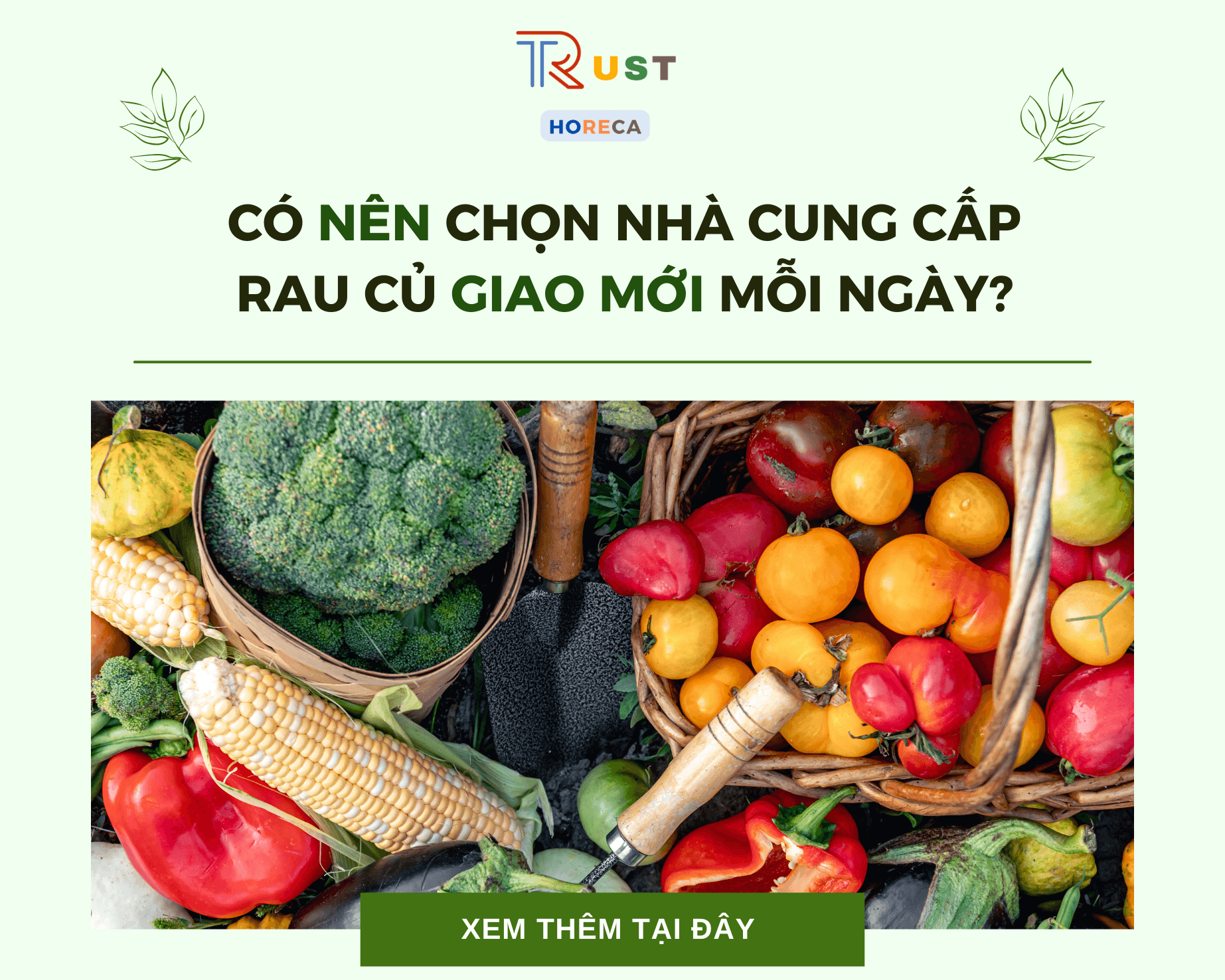 cung cấp rau củ