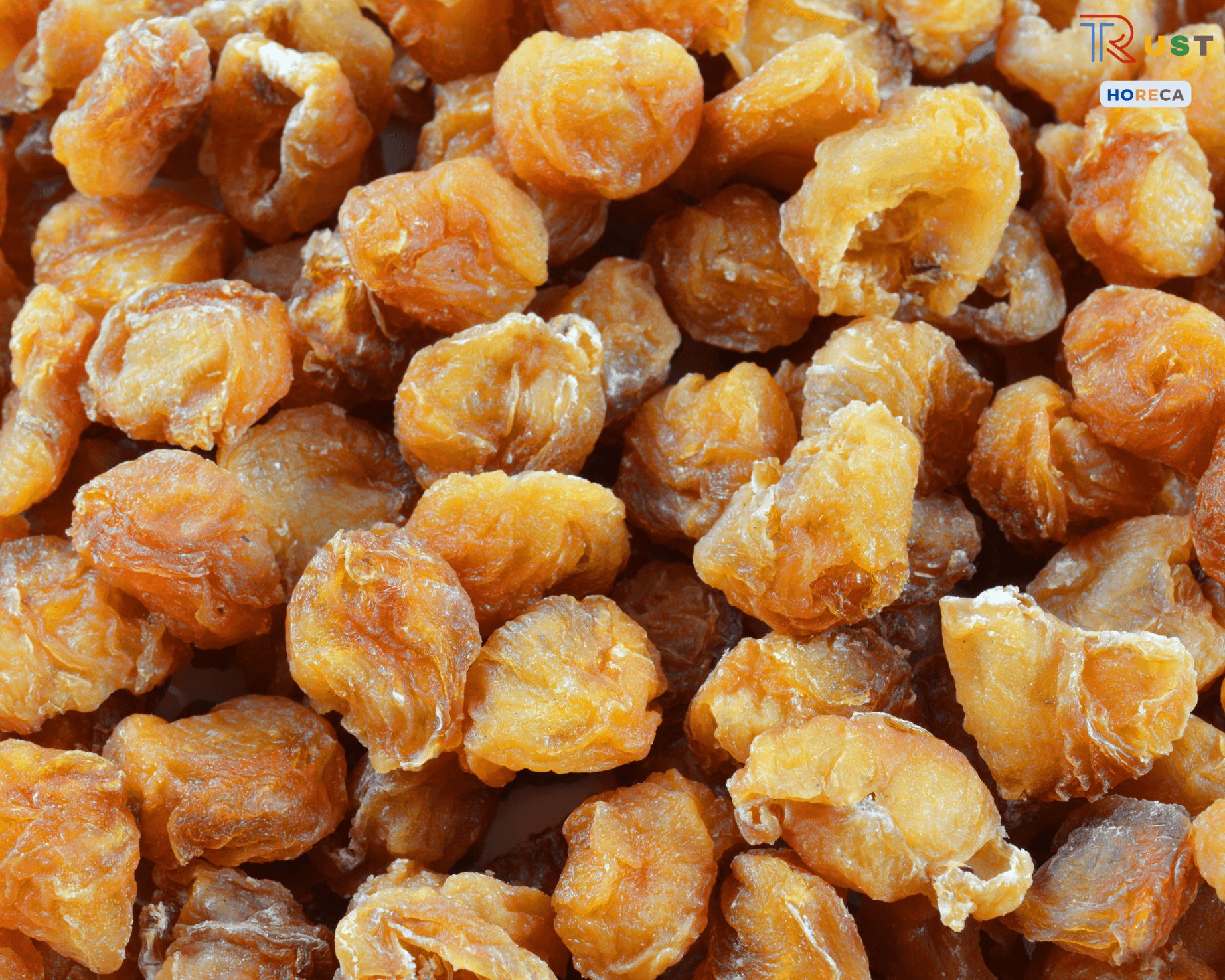 Nhãn Nhục