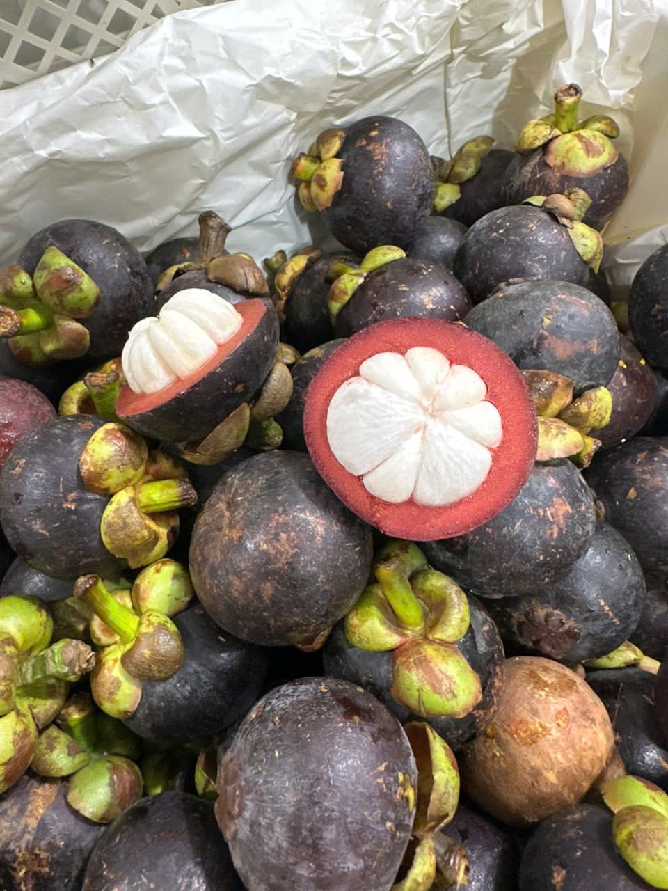măng cụt thái_15kg (1)