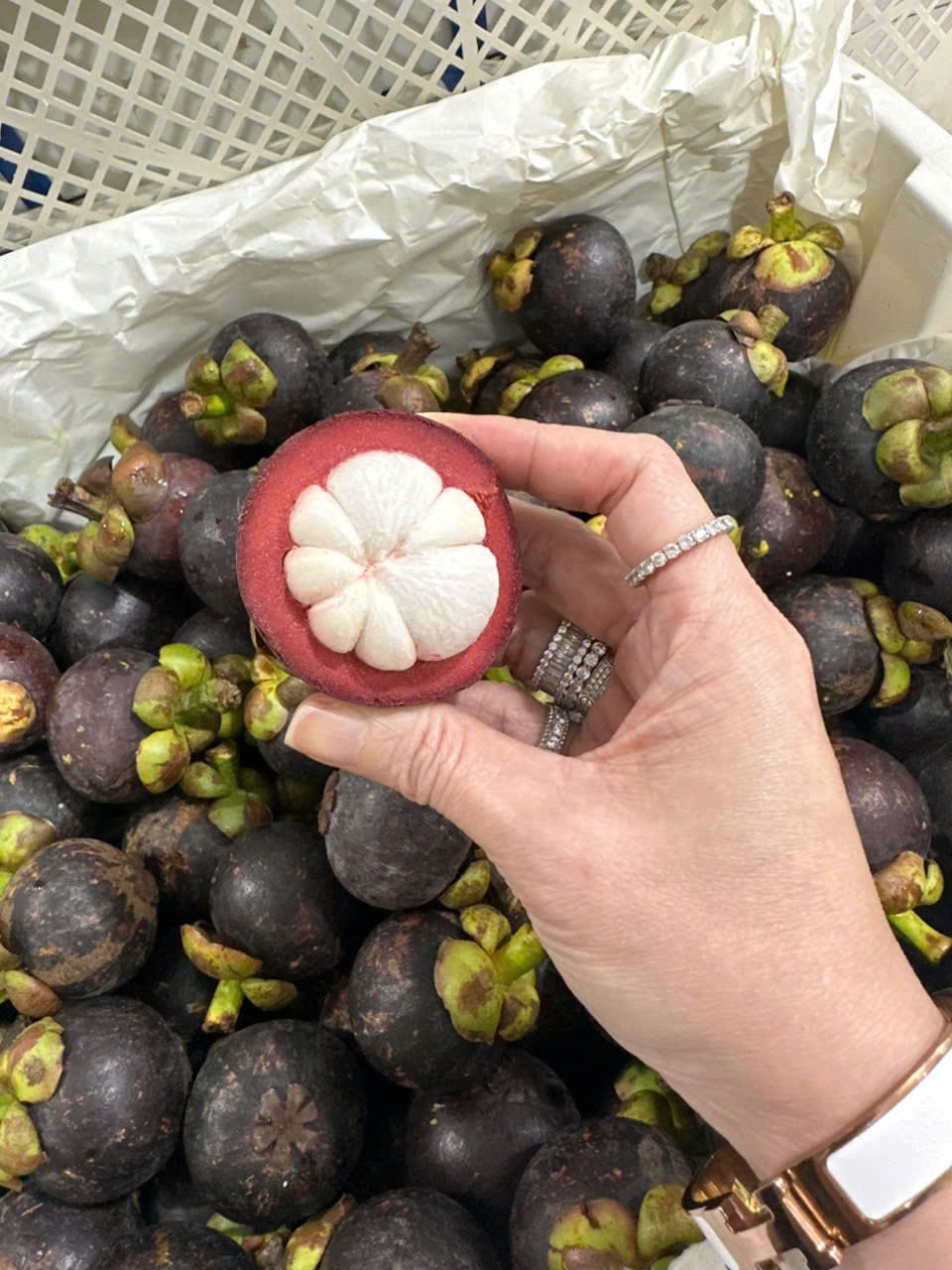 Măng Cụt Thái
