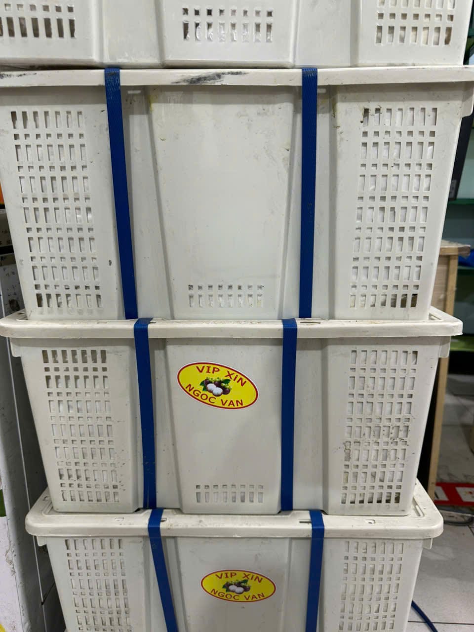 măng cụt thái_15kg (5)