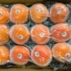 nzl_sz12_4kg (9)